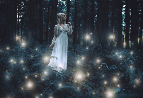 littlewickedthingsx: awakened forest by Kindra Nikole on Flickr.