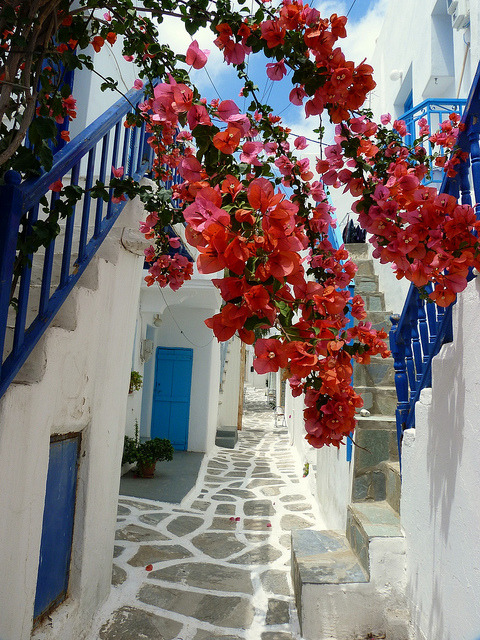 visitheworld:  Narrow paved alley in Naoussa, Cyclades, Greece (by Marite2007). 