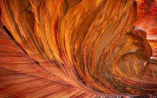 showslow:Artistic Landscape Photography by Sean Bagshaw