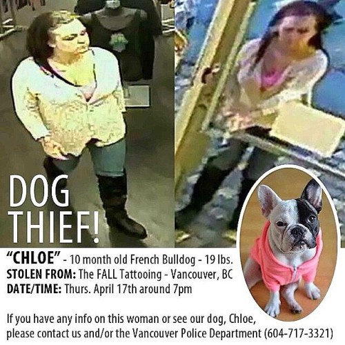 dinfinite:  Hey peoples in Vancouver. This terrible excuse for a lady decided to steal someone&rsquo