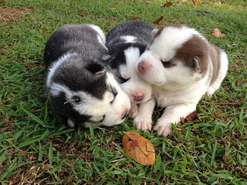dogwarts-family:December 2011Babies you light up my world like nobody else. :3