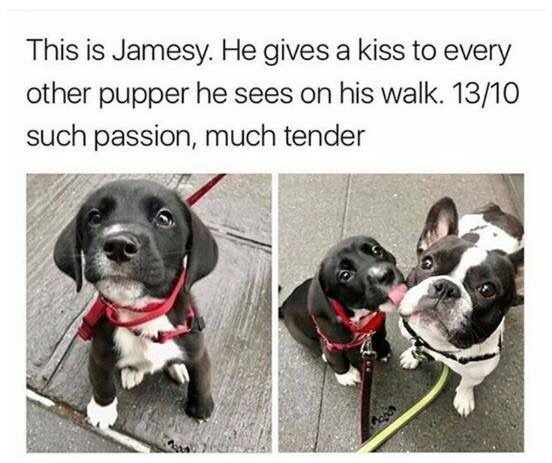 somecutething:  