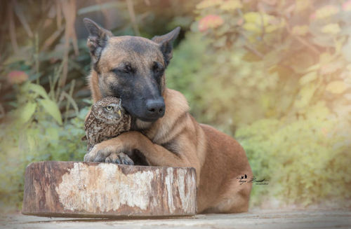 sixpenceee:  Adorable photos by Tanja Brandt, adult photos