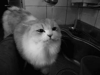 http://ginushk1.tumblr.com/post/38032585000