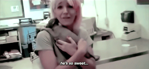 iinterruptedbyfireworks:jenna (and julien) + love at first sight ♡