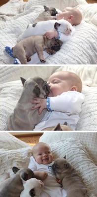 awwww-cute:  Puppies and Babies