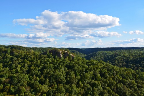 Day trip to Red River Gorge in KY! Creation Falls, Princess Arch, and Chimney Top Rock.