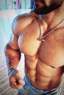 muscleroidaddict:    Galal Reda   