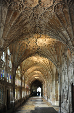 wanderthewood:  The cloisters at Gloucester Cathedral, Gloucestershire, England by Andrew Seeney 