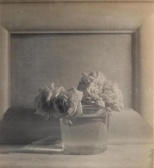 rivesveronique:Baron Adolf de Meyer  (1868-1946) Roses in vase ,1911