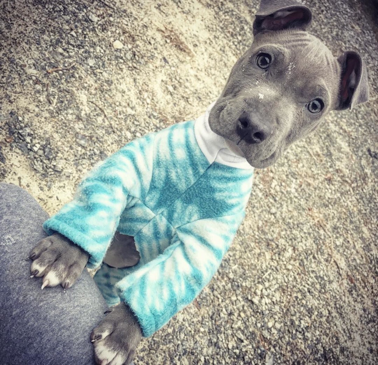 ryanhadblogged:  I felt as though you all needed to see baby Archie in his snow gear.