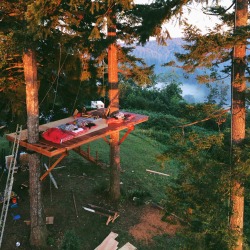 cabinporn:  The burgeoning treehouse paradise