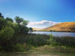 Like a painting. #contraloma  (at Contra Loma Regional Park) https://www.instagram.com/p/BxteY9Zlv_K/?igshid=1a579f07xmei9