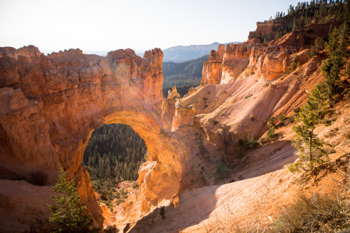 christophermfowler:Bryce Natural Bridge | Bryce Canyon National Park, UT | October 2019