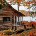 theoneyoudontexpect:justnotmything-deactivated20200:I miss the brilliant colors of fall….. They’re on their way out for me @theoneyoudontexpect 