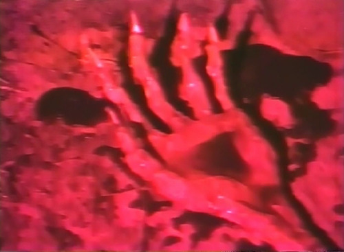marypickfords:Demon Queen (Donald Farmer, 1987)