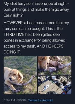 gayestgoth:  doggos-with-jobs:  You had one job!  okay this is funny and all but i almost got a stroke when i read the words “my furry son”