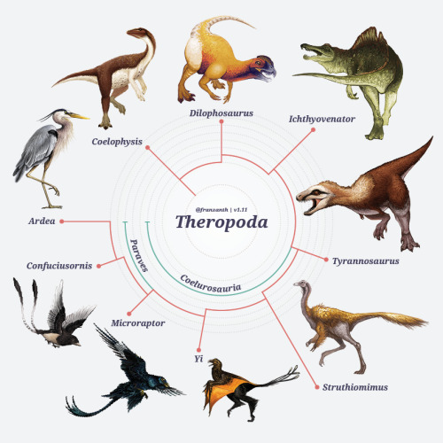 franzanth:  franzanth:  Diapsida: The Cladogram Version 1.11 · 20 March 2016 Attention: This post wi