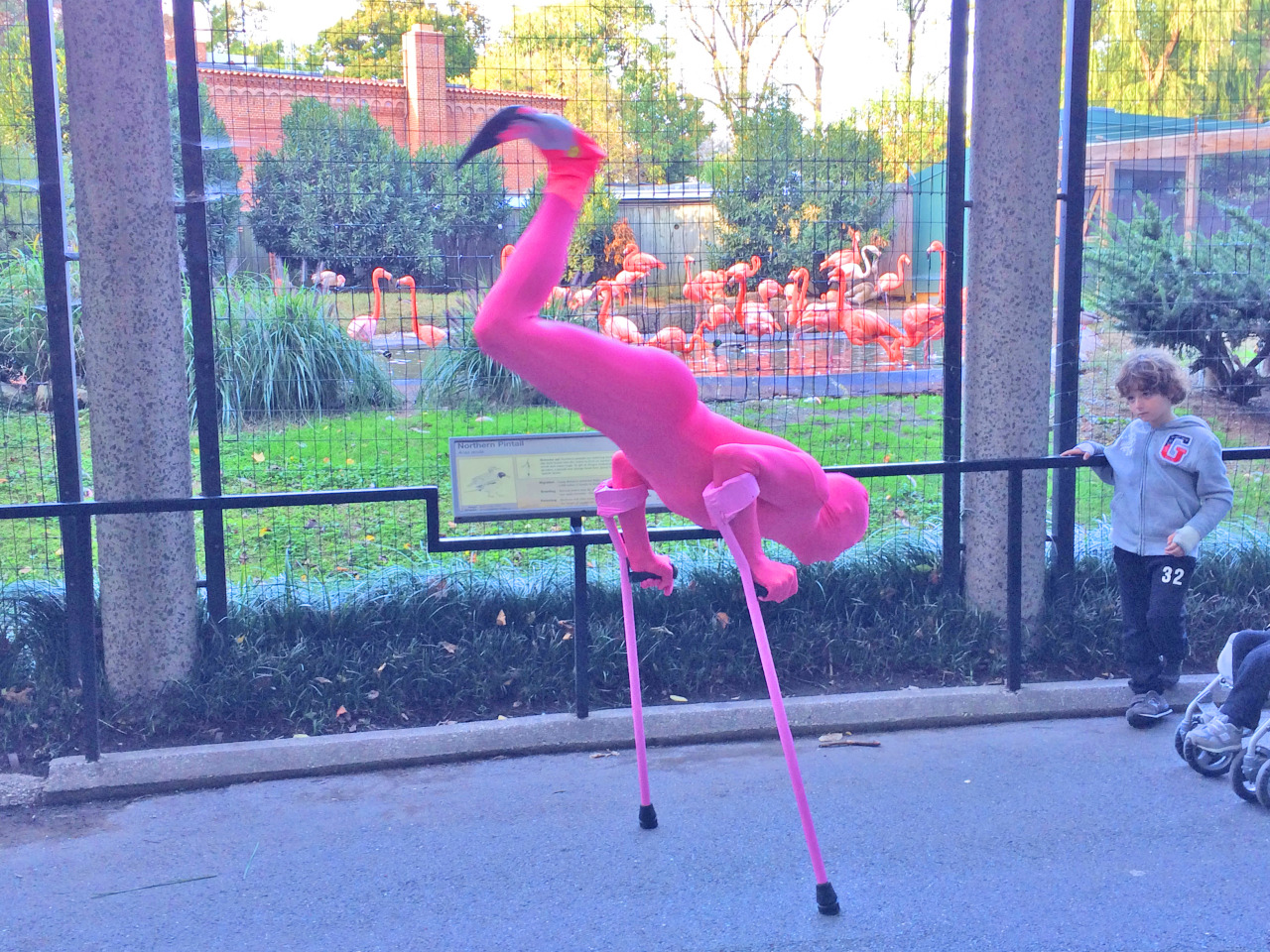 joshsundquist:  Whenever I go to the zoo, kids seem to be more interested in staring