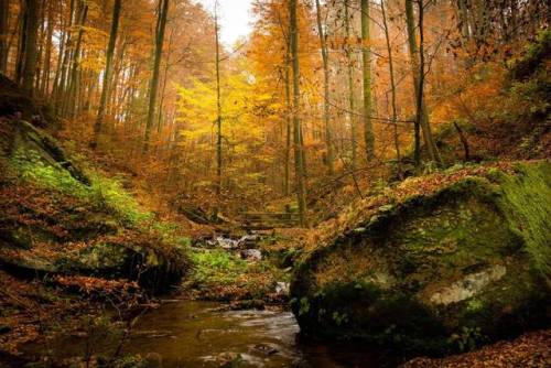 exploreelsewhere:Colors of nature, Germany [OC] [2048x1365] ✈