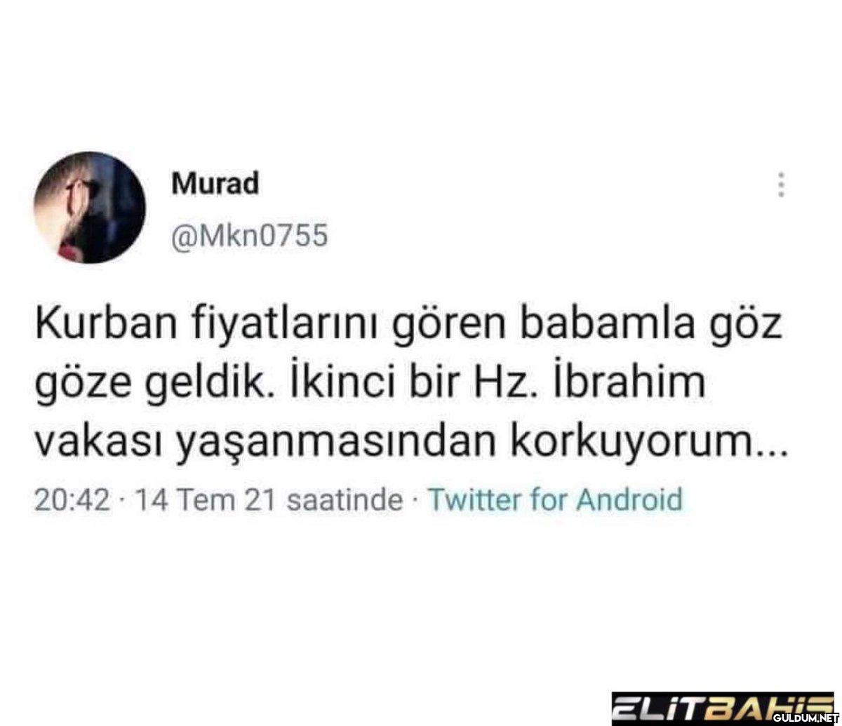 Murad @Mkn0755 Kurban...