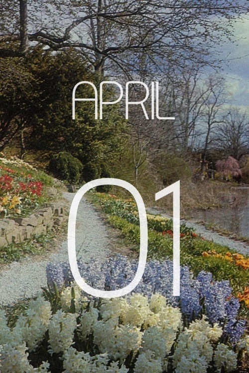 gardencalendar:A south slope planted with different kinds of flowering bulbs, including hyacinths an