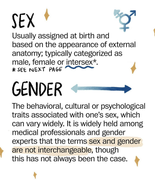 glossary about gender