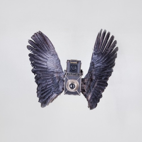 fer1972:  Birds of Aperture by Paul Octavious