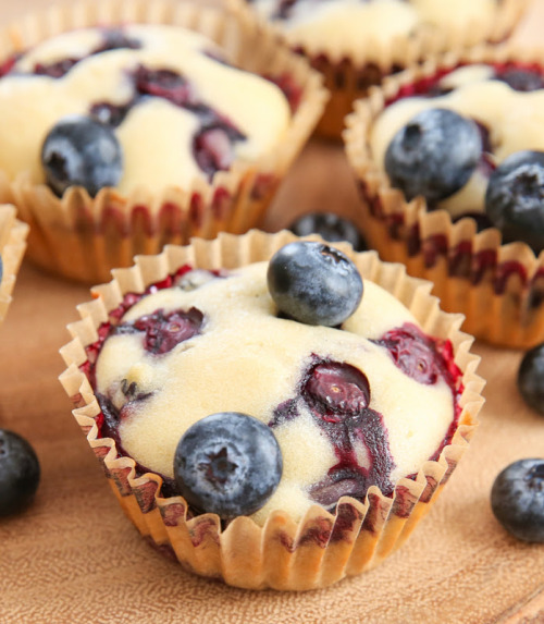 Low fat blueberry recipes