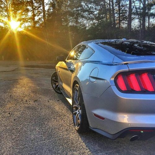 chemicalguys:  Keeping her fresh with #chemicalguys awesome product!! #Ford #mustangsonly #Mustang #ChemicalGuys #CHEMICALGUYSFAMILY Thanks @kylejones93 for sharing your shine