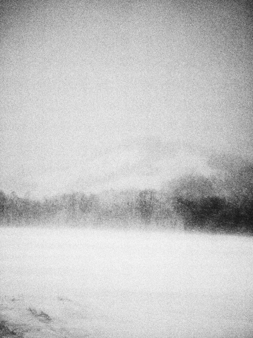 jiji-de-jiji:Whiteout© jiji