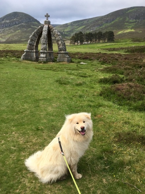 Queens Well, Glen Esk, Scotland June 2018