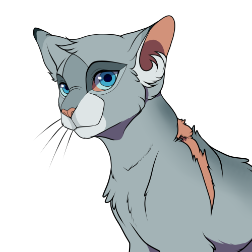 Someone Suggested Bluestar, So Here She Is! I Think Bluestar Is Actually Very Fun To Draw XD Okay To