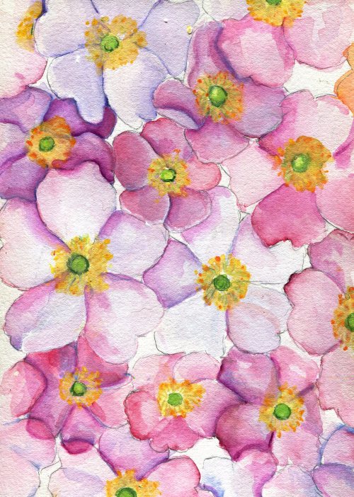 havekat:PatchworkWatercolor and Gouache On Cotton Paper2017, 6″x 8″Single Flowered Pink Roses
