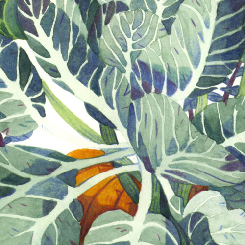 This is the illustration I did for Gobelins’ next exhibition! The theme is “garden”, opening on thur