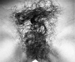 oursecretshots:  for hairy lovers!! - 1