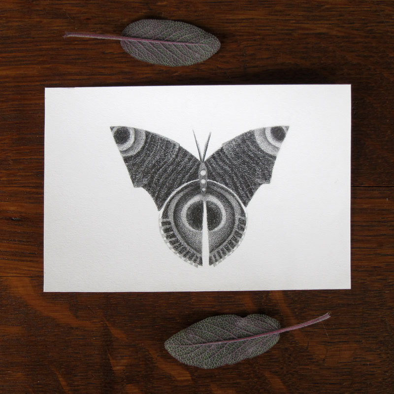 sosuperawesome:  Zoe Tilley Poster on Etsy 