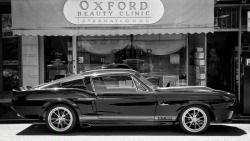 musclecarshq:  Stunning Mustang GT500…More