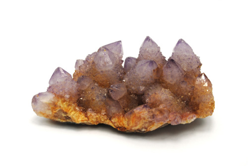 Cactus Amethyst
