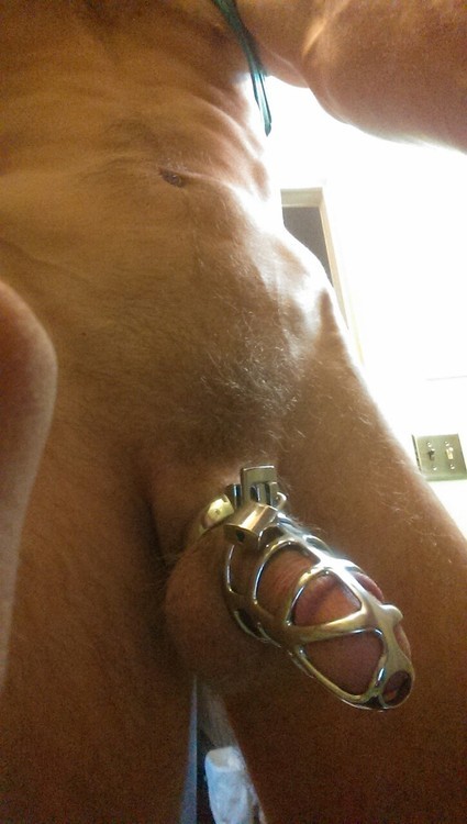 gaboymaster:  Chastity fags should have no access to their pathetic cocks.  The