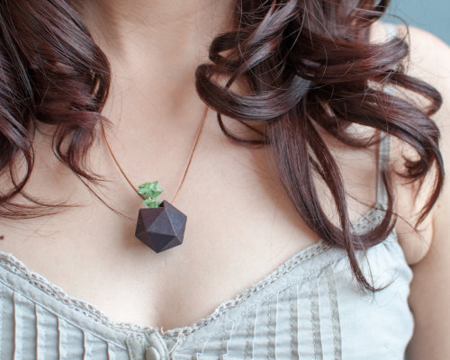  Icosahedron Wearable Planter in Black by  Colleen Jordan