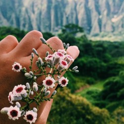 bvddhist:  crystal-hippie:  one with nature☮