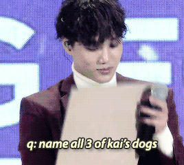 dyominos:  kai only has 3 dogs sehun…. 