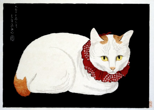 Takahashi Shōtei (Hiroaki Takahashi), Tama the cat, 1925….