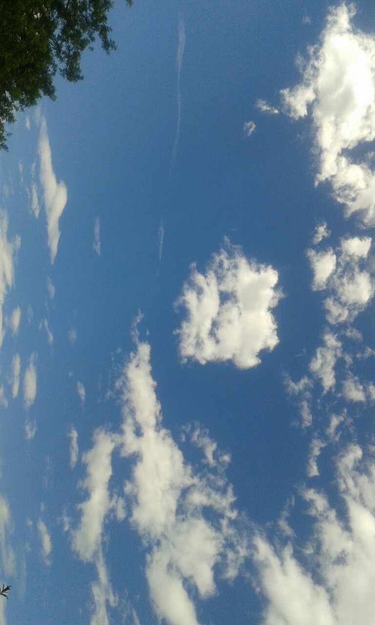 Céu azul ♥♥♥