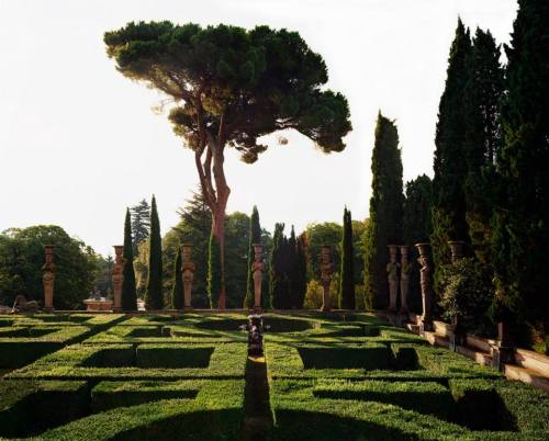 lovebeautyawonderfulworld:Villa Farnese