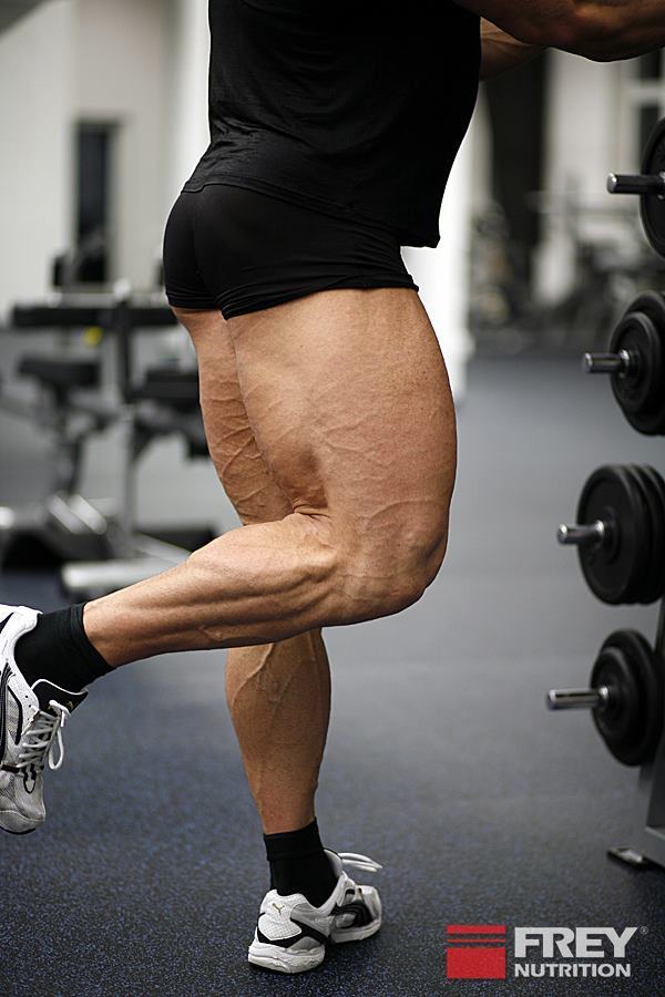 premium-male:  Andreas Frey 