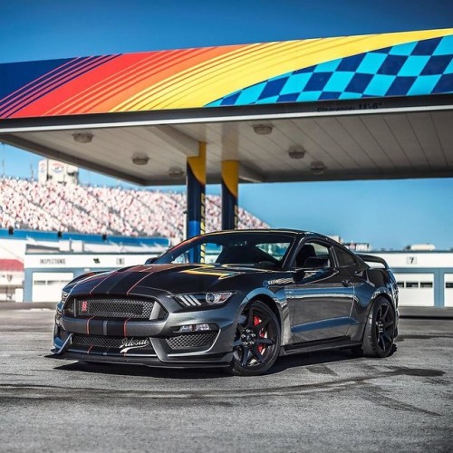 Porn carpr0n:  Starring: Shelby GT350RBy Sporting photos