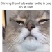 dankmemeuniversity: