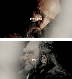 remusjohnslupin:  The Company of Thorin Oakenshield 